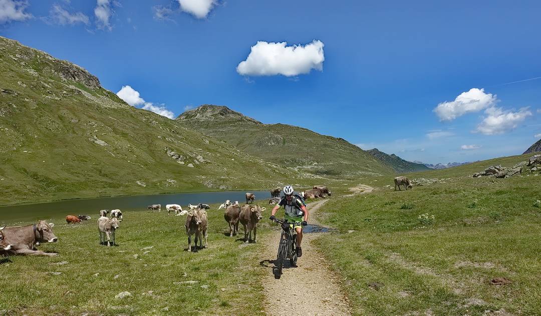 Scheidsee in der Nähe der Heilbronner Hütte