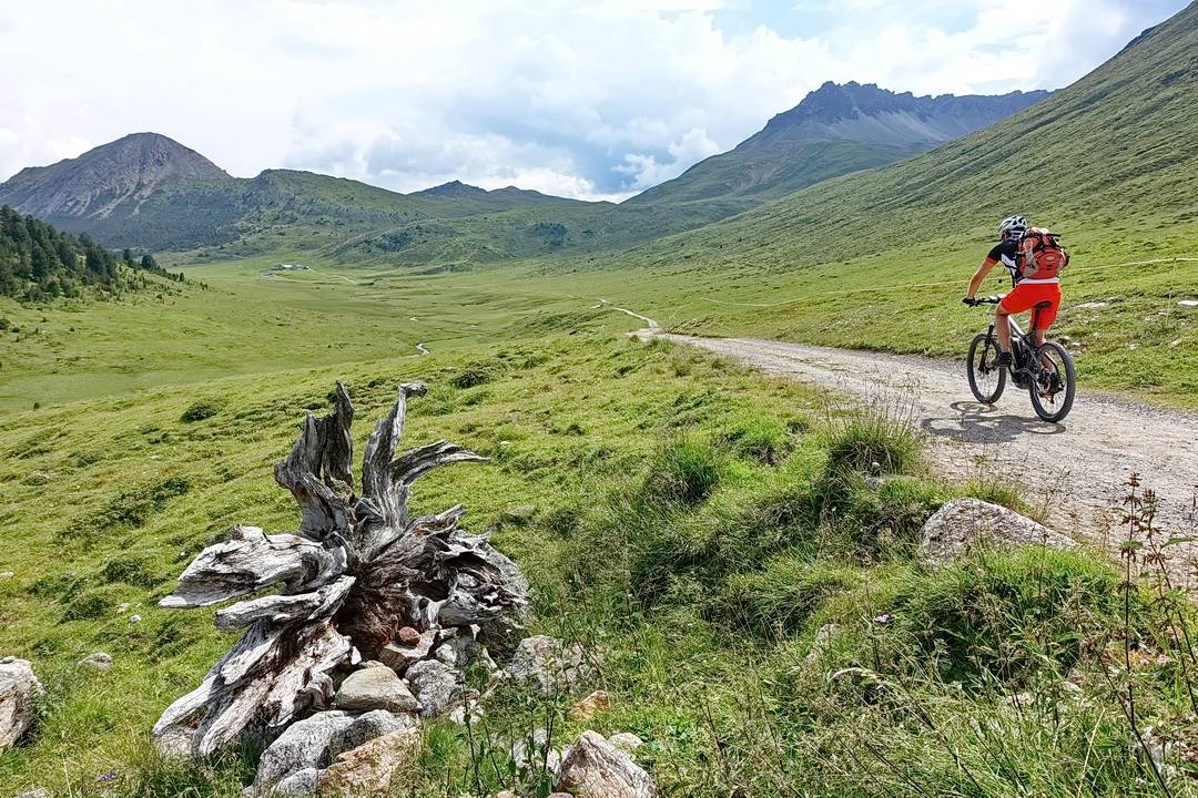 Auffahrt von S-charl zur Alp Astras