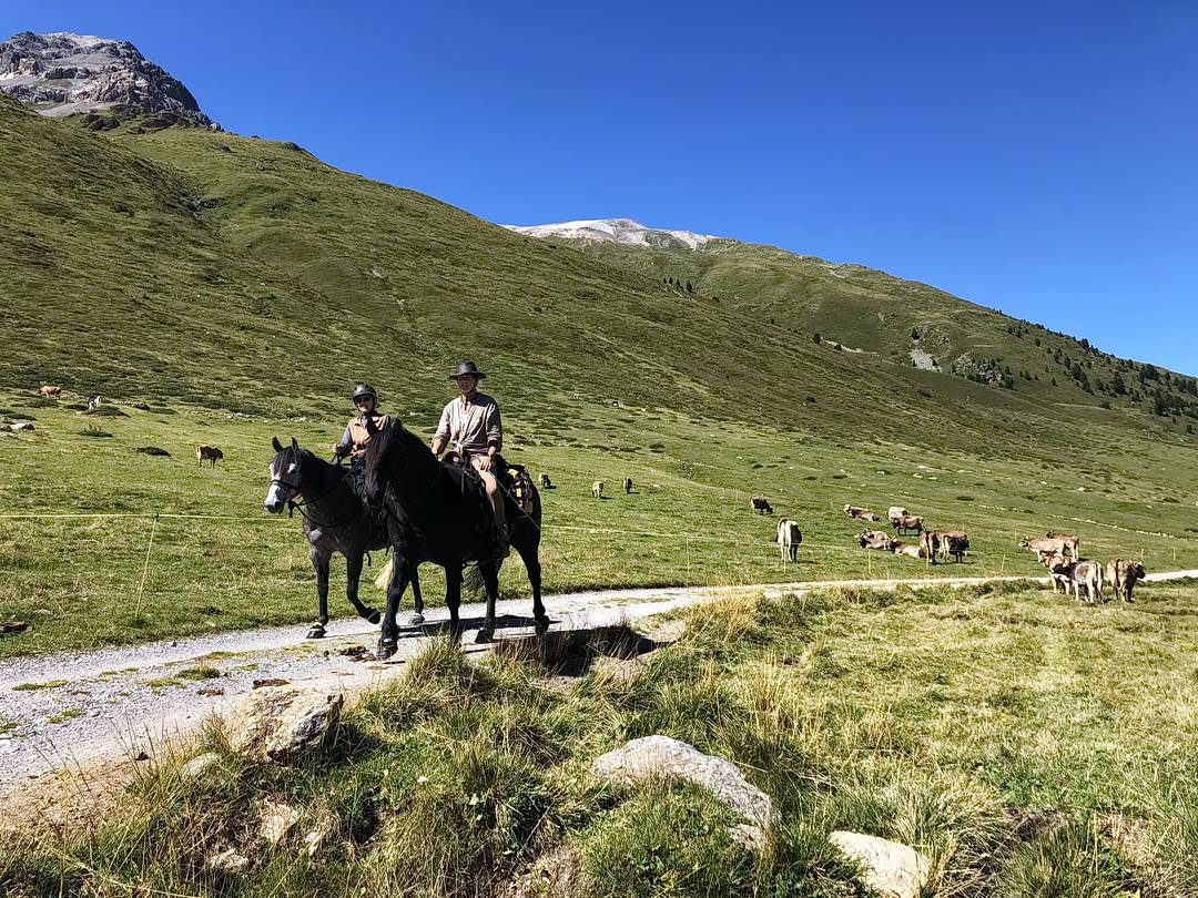 Interessante Begegnung in der Nähe der Alp Astras