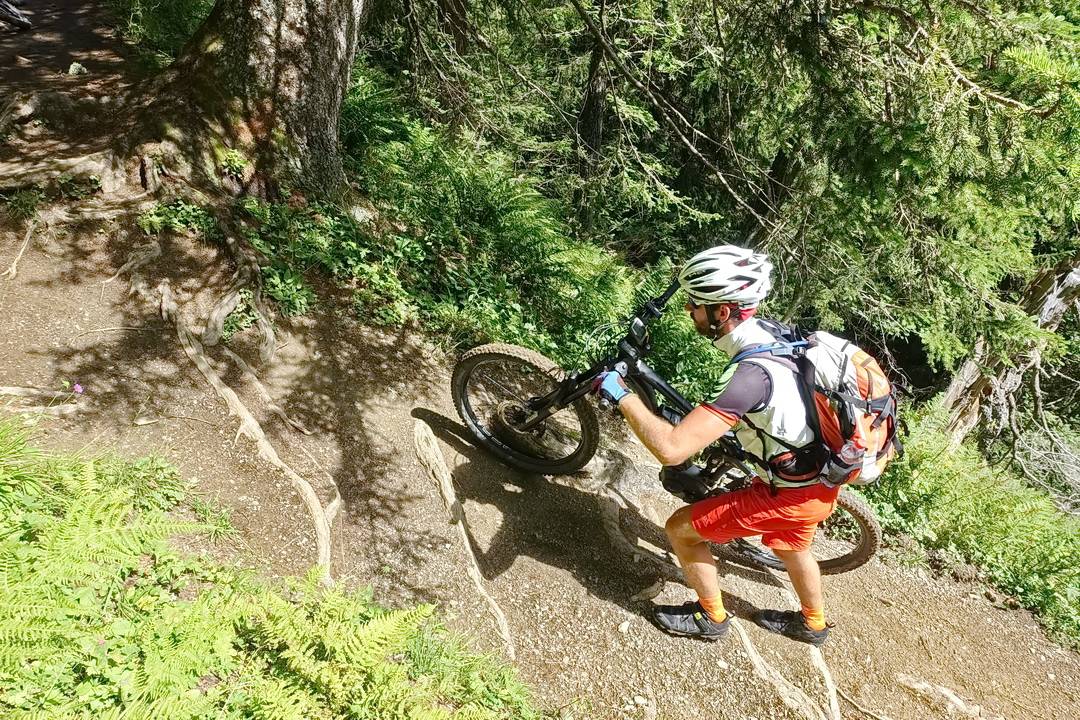 Anstieg zum Bärenpass - kurzes Schieben an Stufen und Wurzeln