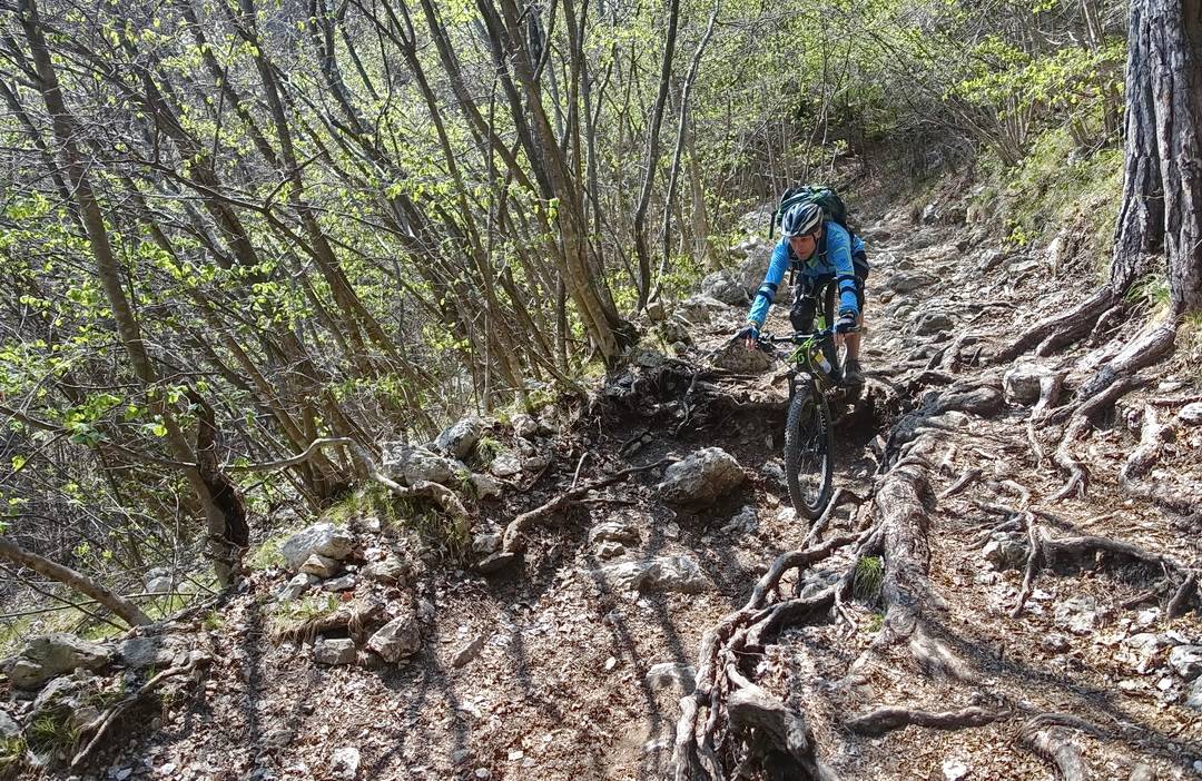 Wurzeltrail vom Passo Rocchetta zur Malga Palaer