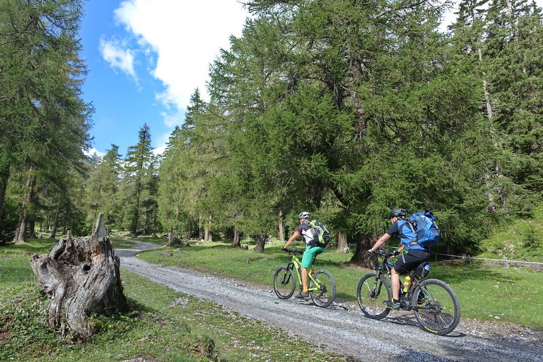 Zunehmender Fahndungsdruck nach eMTBikern auf der Albrecht-Route  Christian auf Tour - gemeinsam ein Stück des Weges