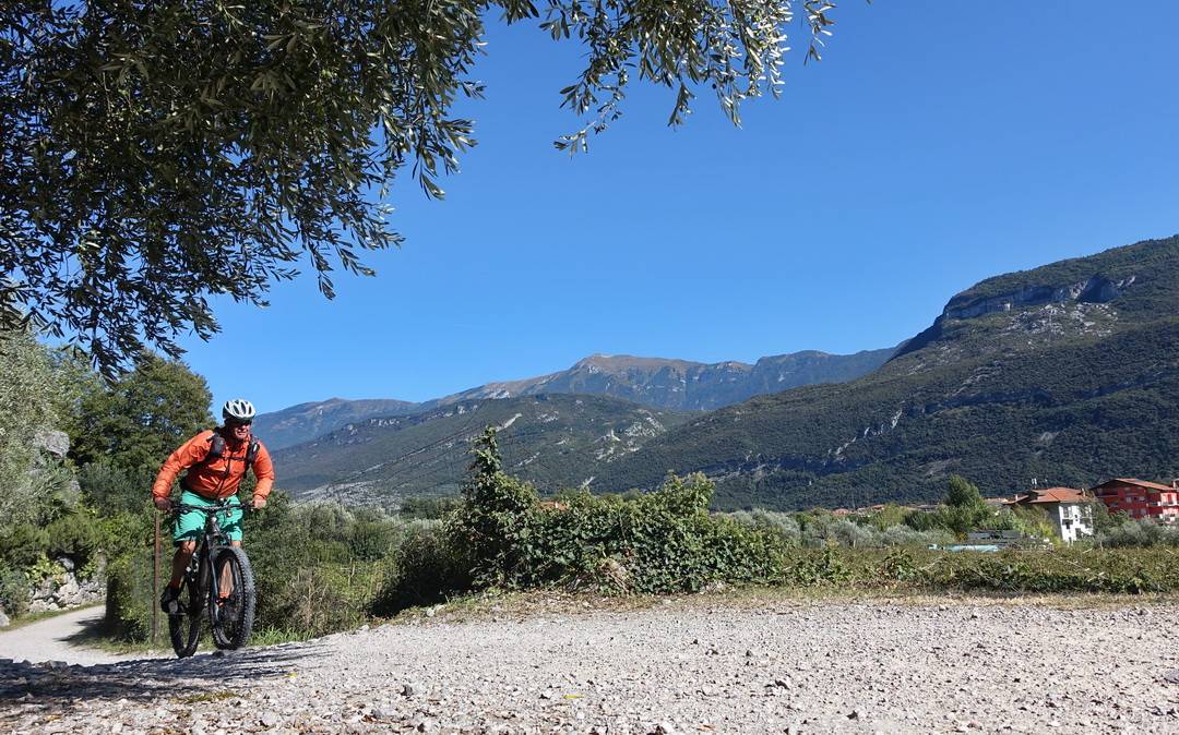 Olivenhaine bei Ceniga 