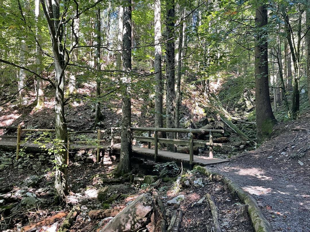 Rio Lambin zwischen Andalo und Molveno