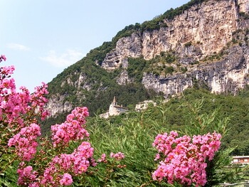 350 Bilder von Digicam 109