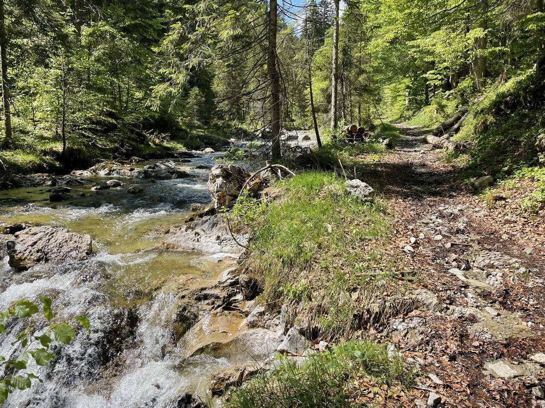 Trail entlang des Bayrbachs Trail entlang des Bayrbachs