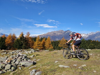 00 350px DSC00189 1000px