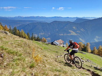 00 350px DSC00203 1000px