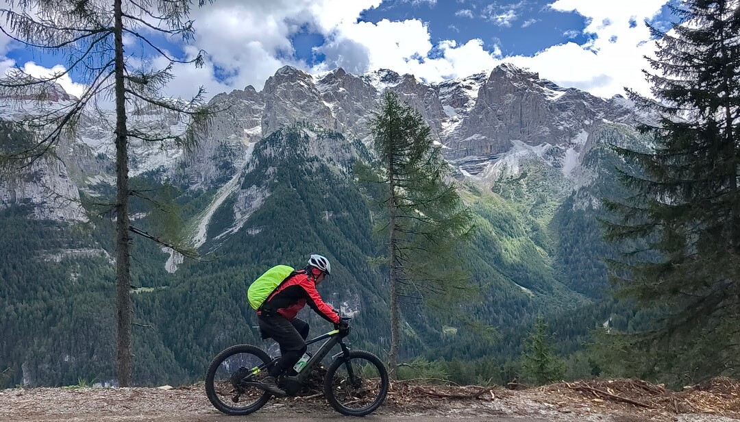 Trail zur Malga Dimaro bei der Variante Seilbahn Daolasa