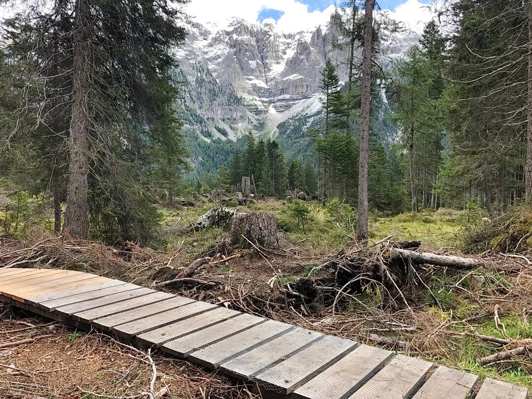 Holzsteg bei der morastigen Passage zur Malga Dare