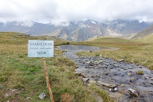 05 gallo1DSC01979 klein