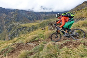 05 gallo2DSC02013 klein