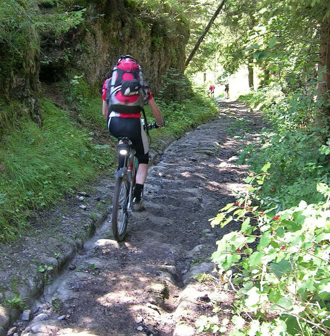 Uralte Wagenspuren am Fernpass 