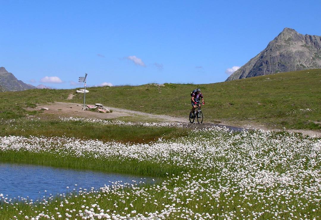 Idylle an den Scheidseen 