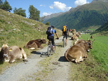 350 2 13 Matze 2004Transalp 044