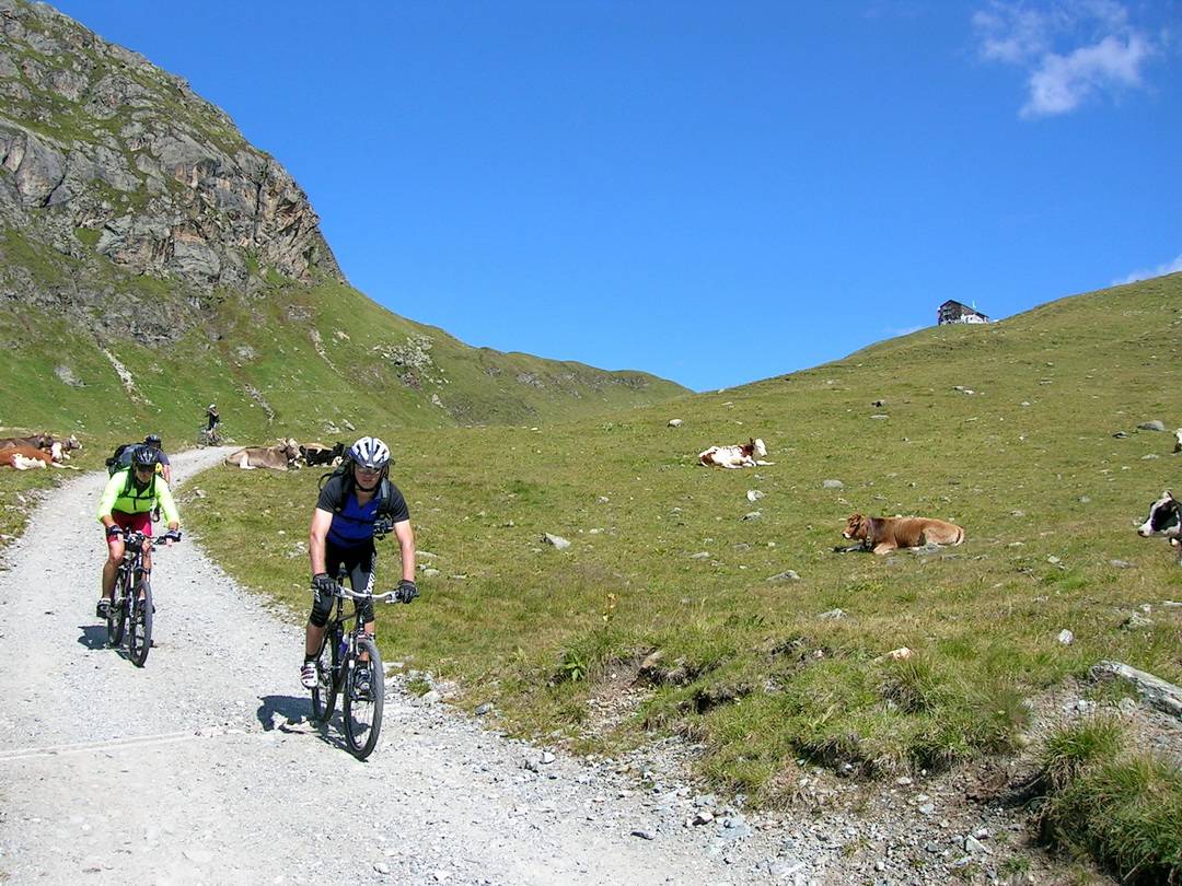 Leichte aber steile Abfahrt von der Heilbronner Hütte