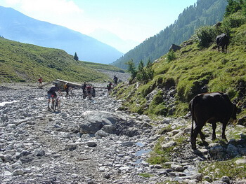 350 3 12 Matze 2004Transalp 066