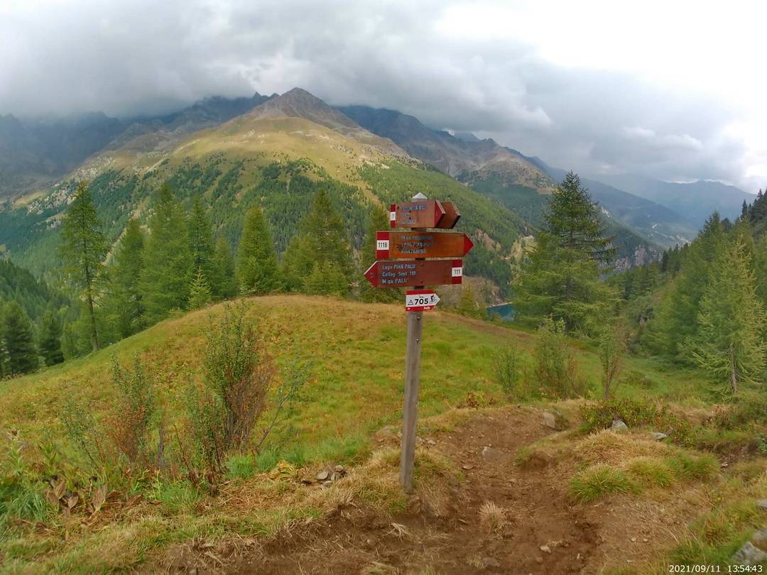 Weggabel 111 MTB 105 