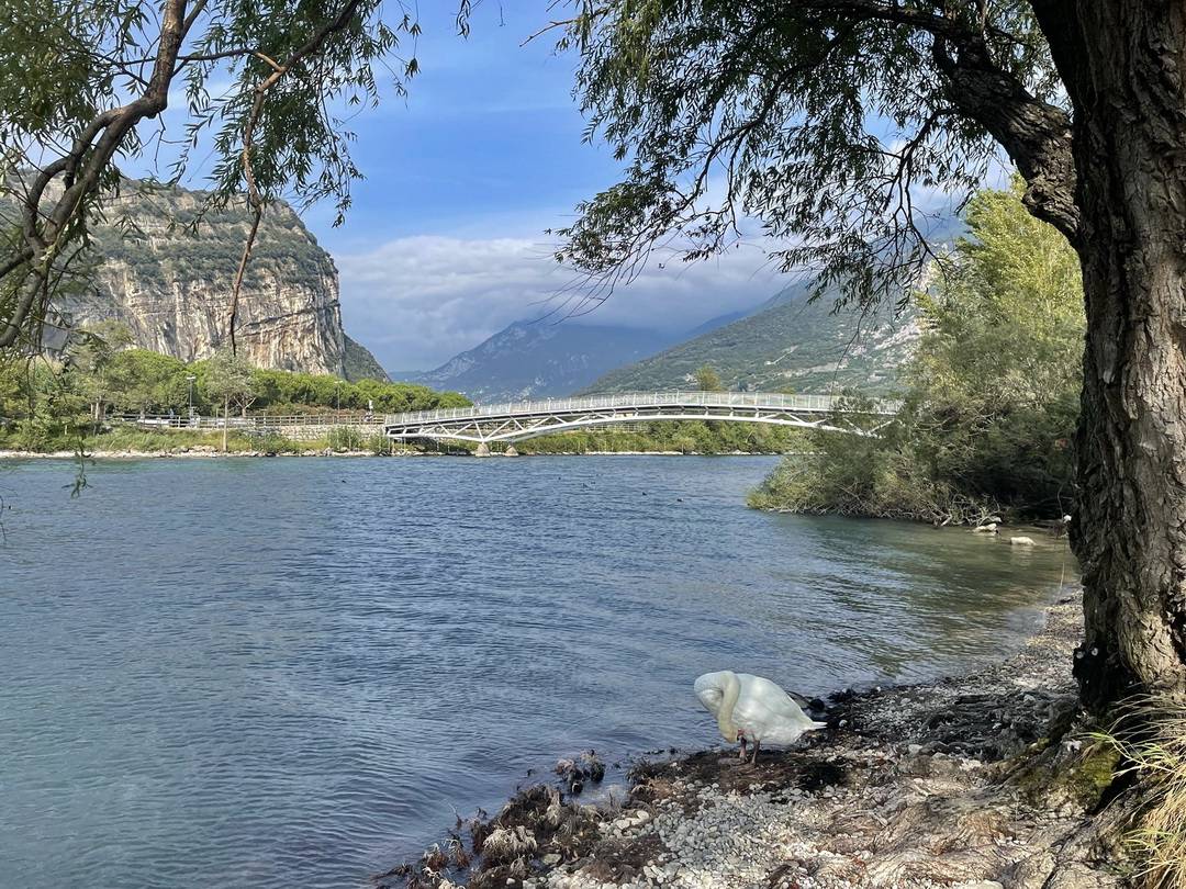 Mündung der Sarca in den Gardasee