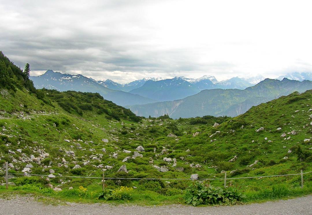Alpenpanorama 