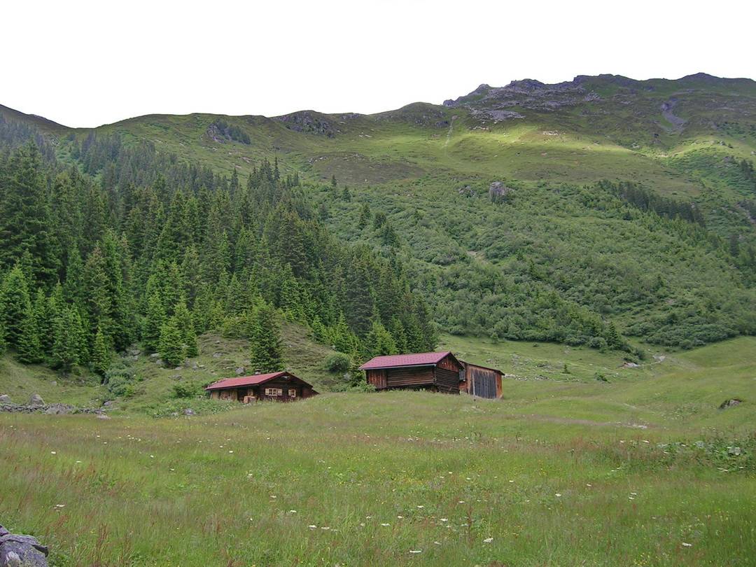 Schlappin Blick zuruck 