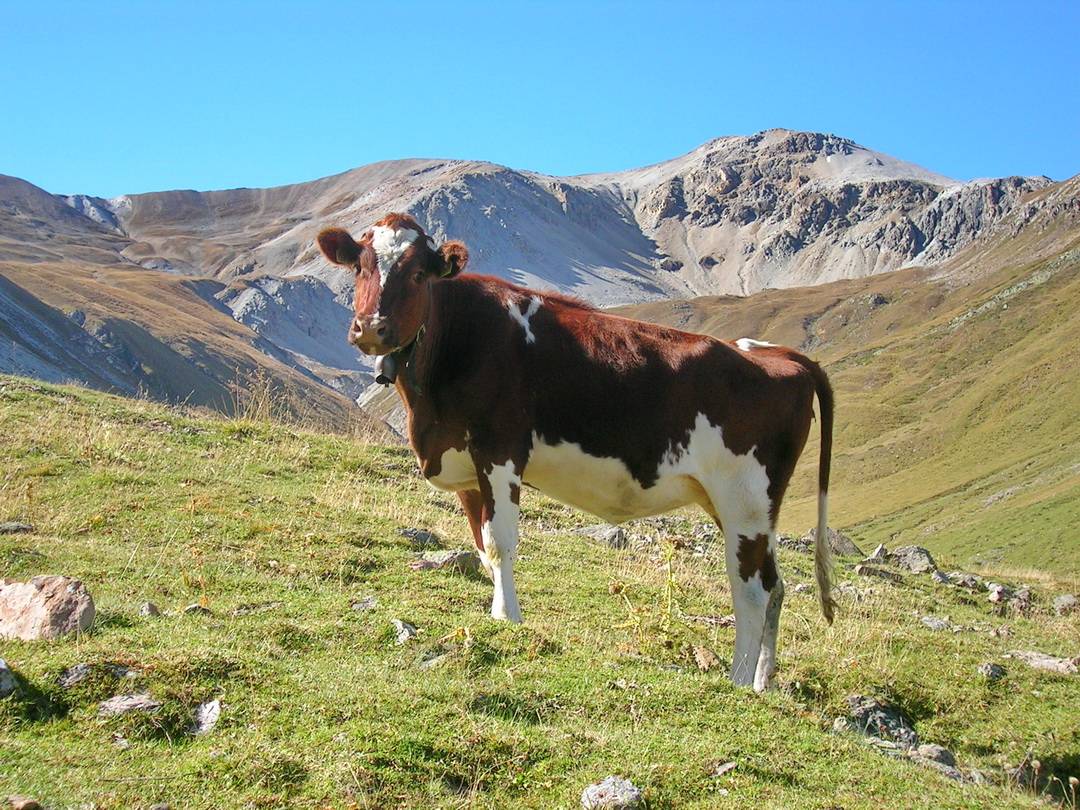 Willkommene Abwechslung auf beiden Seiten