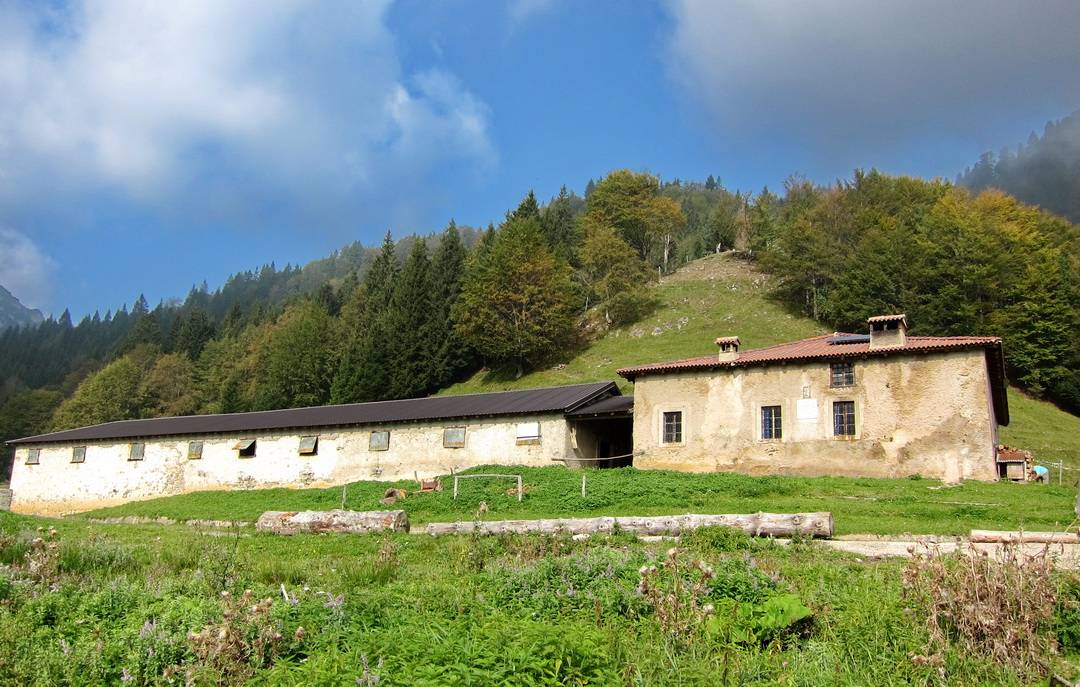 05 Malga Lorina IMG 3777