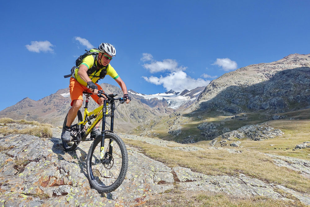 DSC01356 rifberni albi