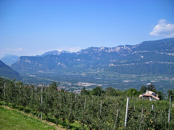 opener 350 Bergvagabund Transalp 2007 105