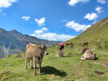 opner 350 opner IMG 2932