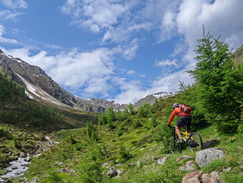 opner 350 opner DSC04262