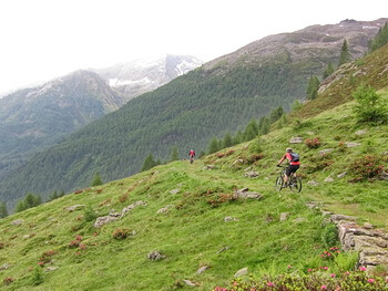 350 DSC04258 IMG 1125