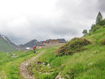 350 DSC4304 IMG 1132