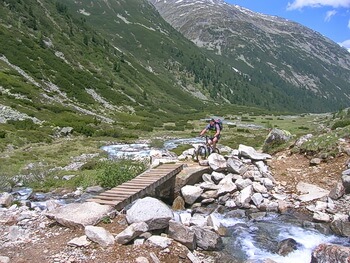 350 IMG 2460 DSCN4313