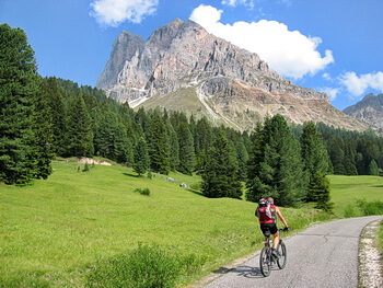 350 DSCN4329 IMG 2499