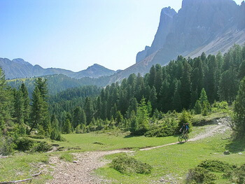 350 IMG 2516 DSCN4361