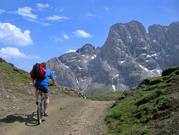 350 IMG 2530 DSCN4374