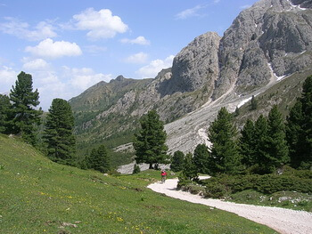 350 IMG 2532 DSCN4378