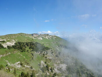 06 DSC00575 1000px 350