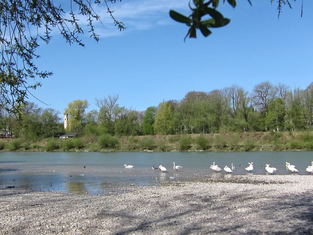 Immer entlang an der Isar