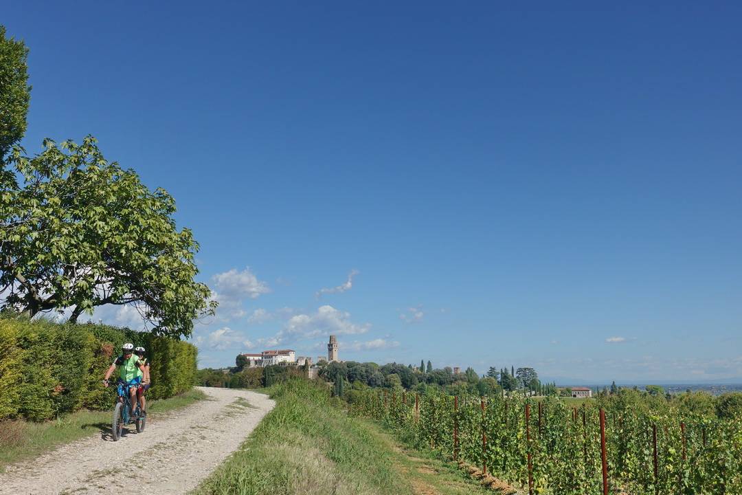 Weinberge letzte Abfahrt