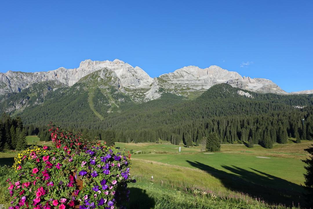 Passo Campo Carlo Magno
