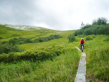 350 Swiss Cross 2009 freemn 106