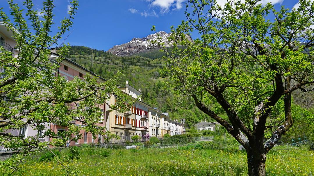 Poschiavo Via di Palaz 