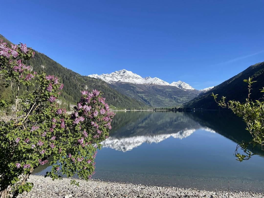 07 Lago di Poschiavo zum Piz Varuna 