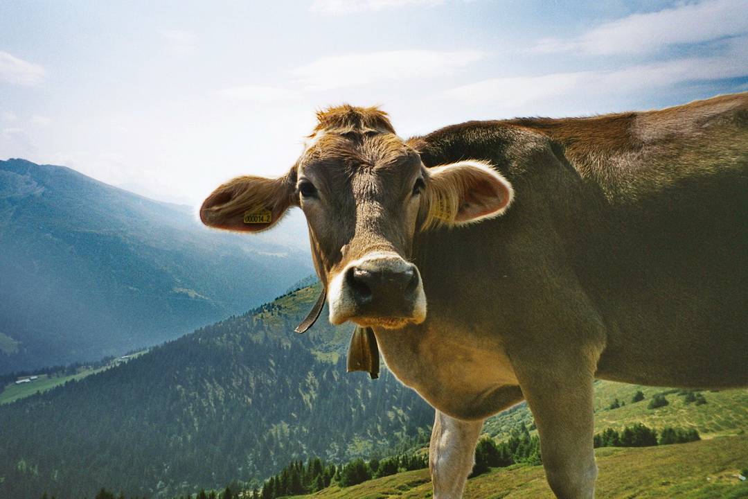 Abfahrt am Schlüsseljoch