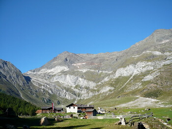 06 P1010631 1000px 350px